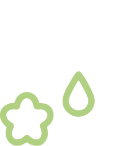 icon_spaSustentavel